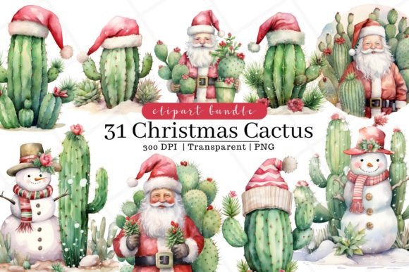 Christmas Cactus Watercolor Clipart for Illustrations