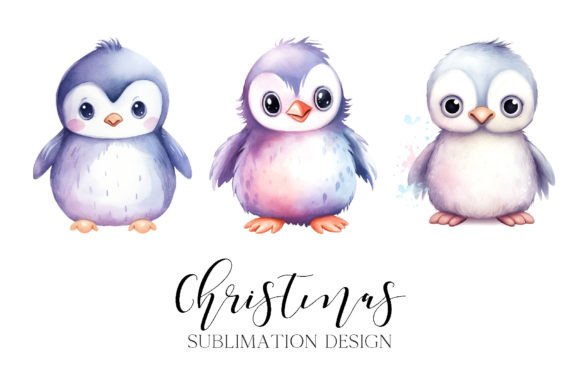 Christmas Penguin Sublimation Design PNG Review